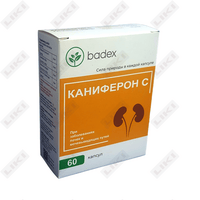 Каниферон С капсулы №60