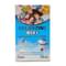 Selartsink Kids siropi 100 ml (flakon) - fotosurat 1