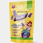 Vitagum Органик с экстрактом черники пастилки по 150 г №40 (пакет)